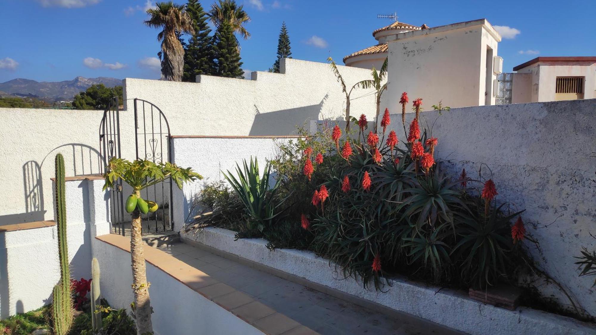 A Little Paradise With Super Views In Almuñécar エクステリア 写真